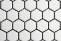 Hexagonal Mosaik Matt weiß 22 mm