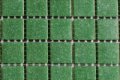 MAUC 36 Kekse 20x20x4mm